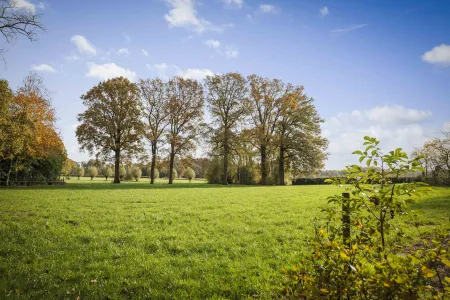 Landhuis, Almen